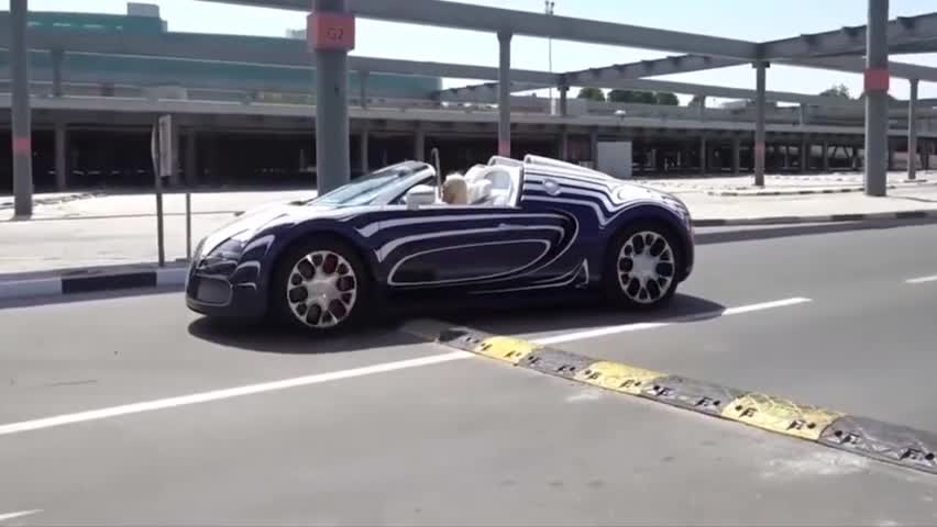 {線上賭場}(两秒破百的跑车) {線上賭場}(两秒破百的跑车)